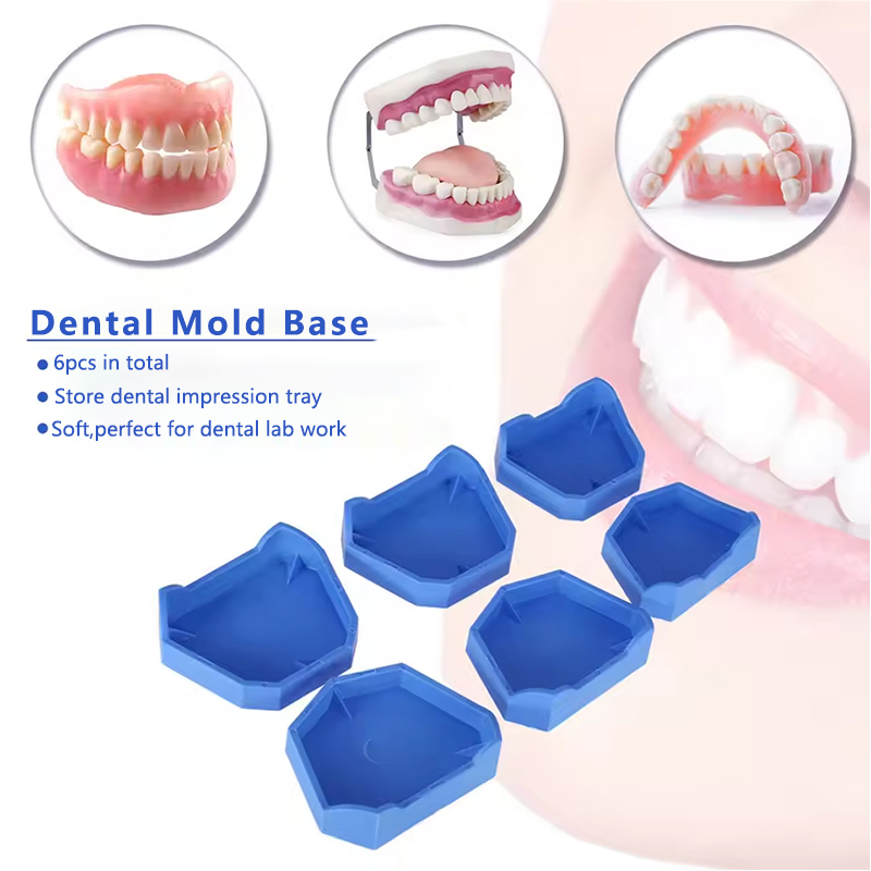2/6Pcs Dental Model Base Silic - Model Kit Tool Set 评论和价格