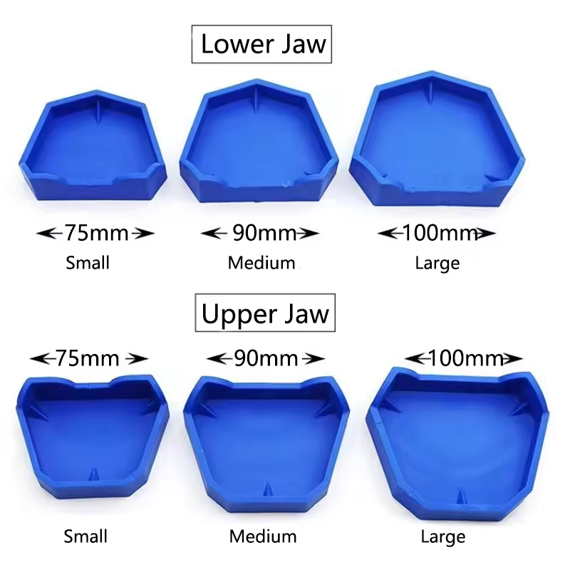 2/6Pcs Dental Model Base Silic - Model Kit Tool Set 评论和价格