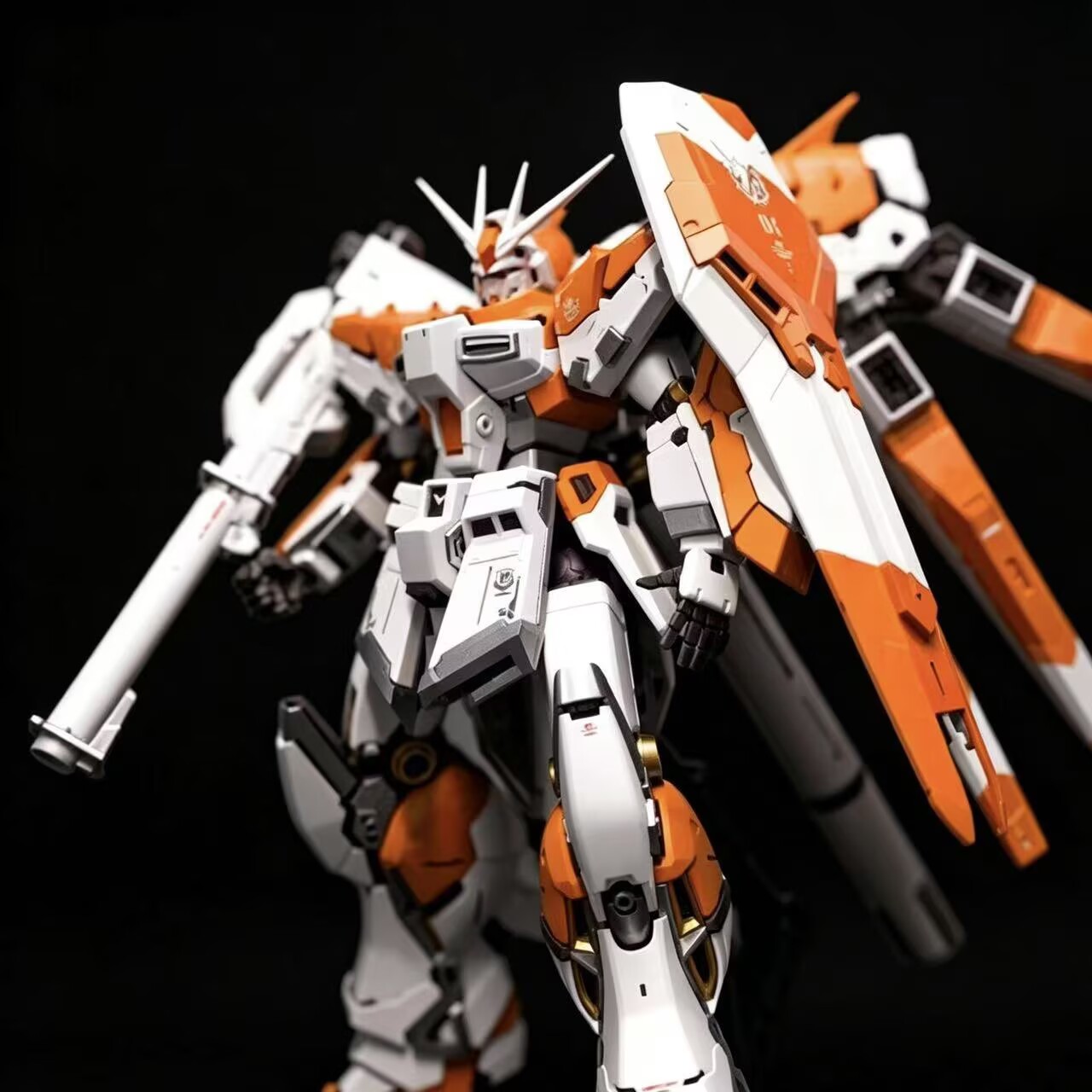 ZHUJIANG Model Rg Manatee 1/14 - Model Kit Zeus 评论和价格