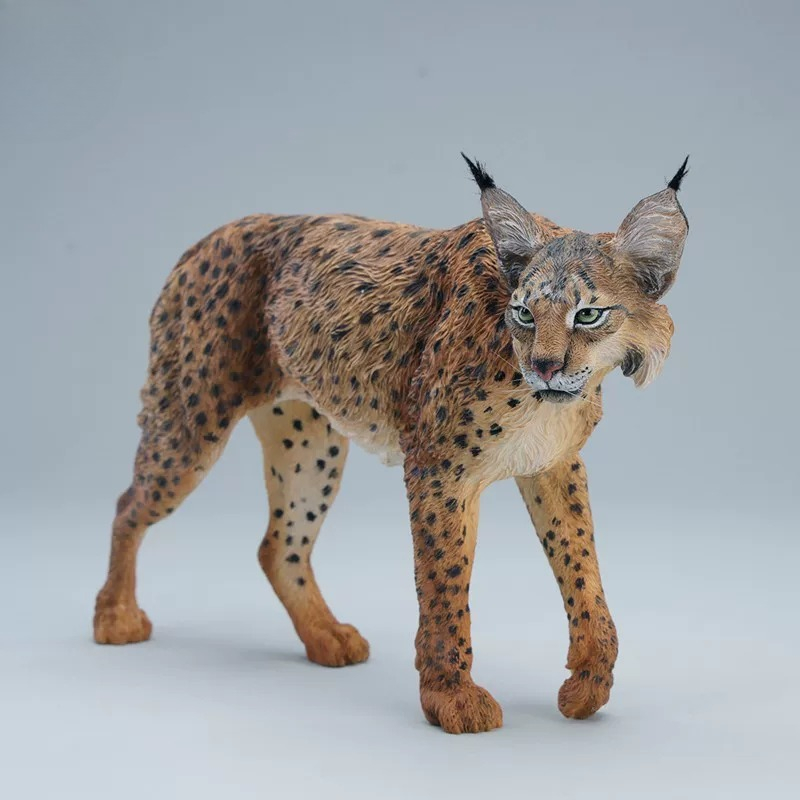 JXK361 Presale 1/6 Scale Actio - Model Kit Lynx 评论和价格