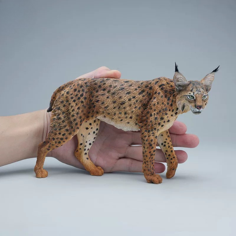 JXK361 Presale 1/6 Scale Actio - Model Kit Lynx 评论和价格