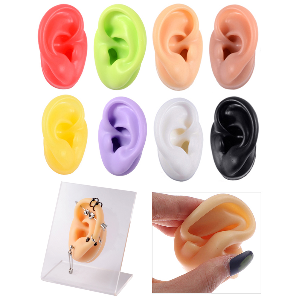 1Pc Soft Silicone Ear Model Ta - Model Kit Display Case 评论和价格