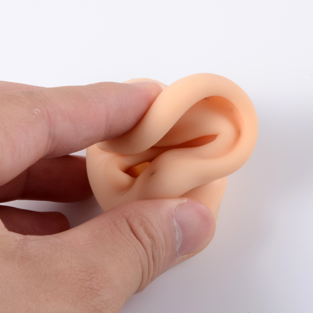 1Pc Soft Silicone Ear Model Ta - Model Kit Display Case 评论和价格